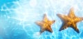 Summer tropical beach background; starfish, sand and blue water Royalty Free Stock Photo