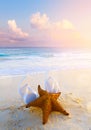 Summer tropical beach background; starfish, sand and water edge Royalty Free Stock Photo