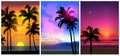 Summer tropical beach backgrounds set with palms, sky sunrise and sunset. Summer party placard poster flyer invitation Royalty Free Stock Photo