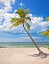 Summer at a tropical beach paradise in Florida Royalty Free Stock Photo