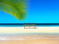 Summer tropical  beach white sand  green palm tree leaf  yellow umbrella blue sky sea on horizon and bench  towel sea water splas Royalty Free Stock Photo