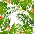 Summer tropical design with palm leaves, tropical plants, flowers. Summer background.