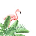 Summer tropical frame exotic banana leaf and flamingo.