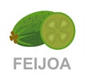 Summer tropical fruits for healthy lifestyle. Feijoa, whole fruit and half.