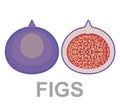 Summer tropical fruits for healthy lifestyle. Fig, purple whole fruit and half.