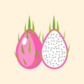 Summer tropical fruits for healthy lifestyle. Red dragon fruit, whole fruit and half. Vector illustration cartoon flat icon Royalty Free Stock Photo