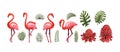 Summer tropical graphic elements with flamingo bird. Isolated stock vectors.