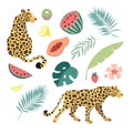Summer tropical graphic elements. Leopard cats animals. Jungle floral illustrations, palm, monstera leaves and hibiscus
