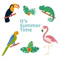 Summer tropical graphic elements. Parrot, Royalty Free Stock Photo