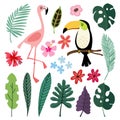 Summer tropical graphic elements. Toucan and flamingo birds. Jungle floral illustrations, palm, monstera leaves