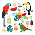 Summer tropical graphic elements. Toucan, parrot birds. Cocktails, fruit, icecream and jungle floral illustrations. Palm