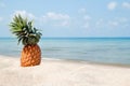 Summer tropical landscape with pineapple on the white sand beach on the background of blue sea. Royalty Free Stock Photo