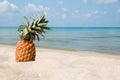Summer tropical landscape with pineapple on the white sand beach on the background of blue sea and sky. Royalty Free Stock Photo