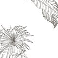 Summer tropical leaves vector design. Floral background illustration. Invitation or card design with jungle leaves. Royalty Free Stock Photo