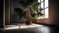 Summer tropical natural concept room interior ,generative ai