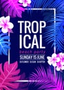 Summer tropical party flyer design template. Colorful exotic palm tree and floral poster Royalty Free Stock Photo