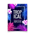 Summer tropical party flyer design template. Colorful exotic palm tree and floral poster Royalty Free Stock Photo