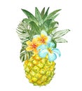 Summer tropical pineapple fruit with colorful exotic flowers and green leaves, isolated on white background Royalty Free Stock Photo