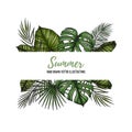 Summer tropical postcard template. Frame with palm leaves monst Royalty Free Stock Photo