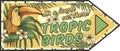 Summer tropical poster. Tropic birds or toucan