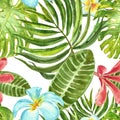 Summer tropical print. Watercolor seamless pattern with exotic plants, flowers and leaves. Green palm leaf, plumeria on white Royalty Free Stock Photo