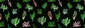 Summer tropical seamless pattern with black background. Abstract tropical plants. Texture with cells Royalty Free Stock Photo