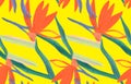 summer tropical seamless pattern with orange Strelitzia royal flower