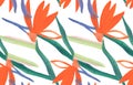 summer tropical seamless pattern with orange Strelitzia royal flower on a white background