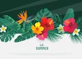 Summer tropical vector background. Flat lay geometric tropic design with exotic hibiscus flower and palm leaves. Spring