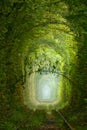 Summer Tunnel of Love in Ukrainian Klevan