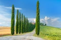 Summer Tuscan landscape, green field and blue sky Royalty Free Stock Photo