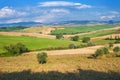 Summer Tuscan landscape, green field and blue sky Royalty Free Stock Photo