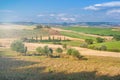 Summer Tuscan landscape, green field and blue sky Royalty Free Stock Photo