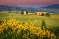 Vitaleta chapel in the grain fields, near Pienza, Tuscany, Italy