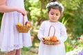 Summer. Two little girls in white dress holds a basket with fresh fruit in garden. Shavuot. Harvest. Autumn. Royalty Free Stock Photo