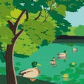 Summer urban garden pond with ducks illustration