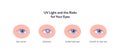 Summer uv sunscreen protection and eye diseave concept. Vector flat healthcare iillustration. Various eye disease symbol. Cancer,