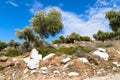 Summer vacation background with greek island Thassos, olive trees, blue cloudy sky, Greece Royalty Free Stock Photo