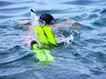 Summer vacation combined with diving by the Adriatic Sea, Rovinj, Croatia Royalty Free Stock Photo