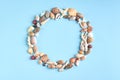 Summer vacation composition idea, seashells on blue background