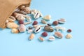 Summer vacation composition idea, seashells on blue background