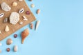 Summer vacation composition idea, seashells on blue background