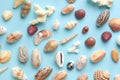 Summer vacation composition idea, seashells on blue background