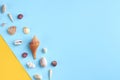 Summer vacation composition idea, seashells on blue and yellow background