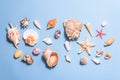 Summer vacation concept. Assorted seashells on a pastel blue background