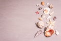 Summer vacation concept. Assorted seashells on sandy stone background