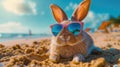 Summer vacation concept. A cool looking rabbit enjoying sun on the beach wearing sunglasses Royalty Free Stock Photo