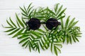 Summer vacation concept, flat lay. stylish black sunglasses on g Royalty Free Stock Photo