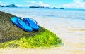 Summer vacation concept--Flipflops on a sandy ocean beach