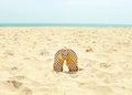 Summer vacation concept. Flipflops on a sandy ocean beach.